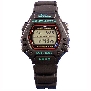 Casio Mens Classic DW290-1V Watch