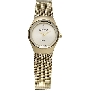 Skagen Womens Diamond 432SGSG Watch